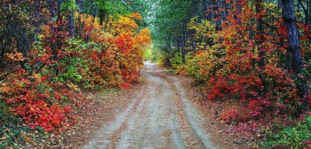 А что у нас с погодой? - 5 - 4843377_large.jpg