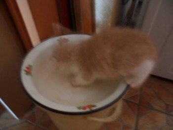 Кто много работает, то и есть должен много!