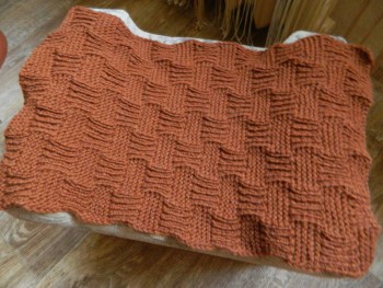 Быстрее моли - 6 - DSCN6739.JPG