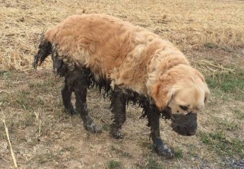 Грех осуждения и как с ним бороться - осудил.jpg