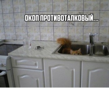 Любимая кошатинка  - TvWEqKptE0c.jpg