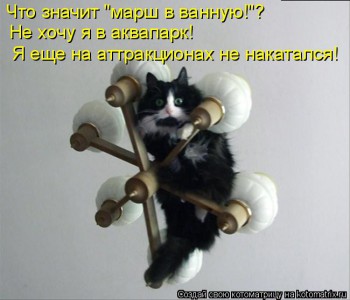 Любимая кошатинка  - kotomatritsa_k.jpg