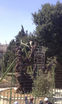 Новость дня 2 - image.jpeg