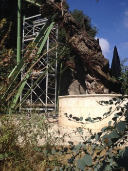 Новость дня 2 - image.jpeg