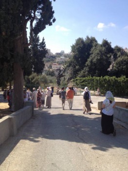 Новость дня 2 - image.jpeg