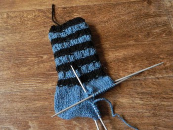 Быстрее моли - 6 - DSCN6744.JPG