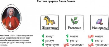 И снова дети говорят  - система природы Карла Линнея.jpg