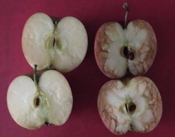 Капельки добра - яблоки.jpg