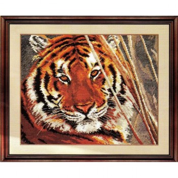 готовая картинка