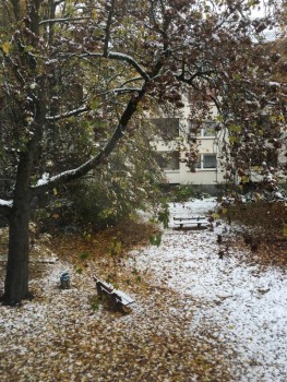 А что у нас с погодой? - 5 - image.jpeg