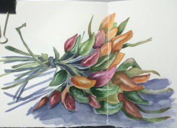 Раскраски... для взрослых - image.jpg