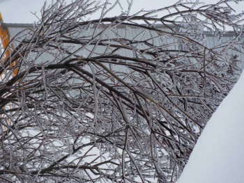 А что у нас с погодой? - 5 - DSCF7459.JPG