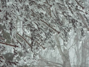 А что у нас с погодой? - 5 - DSCF7470.JPG