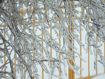 А что у нас с погодой? - 5 - DSCF7473.JPG