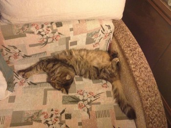 Так мы изволим отдыхать