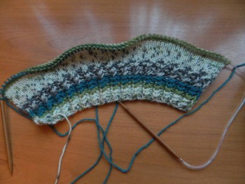 Быстрее моли - 6 - DSCN6751.JPG