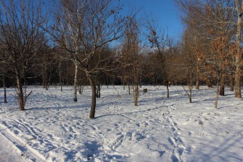 А что у нас с погодой? - 5 - IMG_4440.JPG