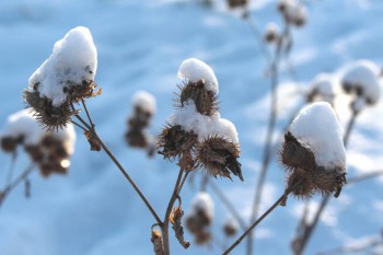 А что у нас с погодой? - 5 - IMG_4445 - копия.JPG