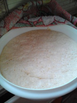 Рождественский штоллен. Печем вместе:  - Lenovo_A1000_IMG_20161218_112722.jpg