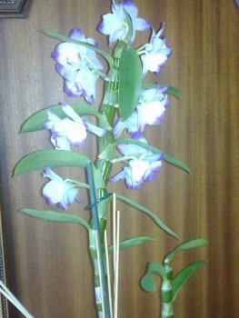 Орхидеи. - 201612242491.jpg