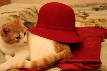 Рождественская акция - 4 - IMG_4940.JPG