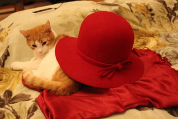 Рождественская акция - 4 - IMG_4941.JPG