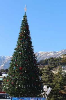 А что у нас с погодой? - 5 - IMG_4775.JPG