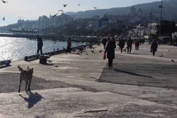 А что у нас с погодой? - 5 - IMG_4787.JPG