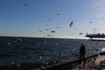 А что у нас с погодой? - 5 - IMG_4796.JPG