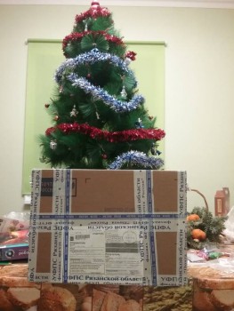 Посылка позирует под ёлочкой,  как и положено подарку )