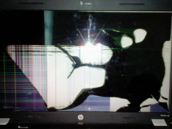 Покажите свой рабочий стол :  - IMG_20170113_104736_1.jpg