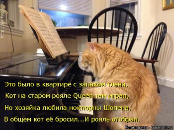 Любимая кошатинка  - kotomatritsa_Om.jpg