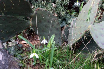 А что у нас с погодой? -6 - IMG_8314.JPG