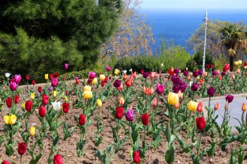 А что у нас с погодой? -6 - IMG_0276.JPG