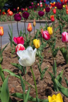 А что у нас с погодой? -6 - IMG_0281.JPG