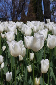 А что у нас с погодой? -6 - IMG_0303.JPG