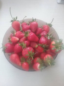 Кухонные разговоры флудим ТУТ -5 - 20170508_152922.jpg