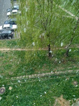 А что у нас с погодой? -6 - IMG_20170510_082723_HDR.jpg