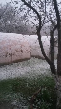 А что у нас с погодой? -6 - 20170511_200640.jpg