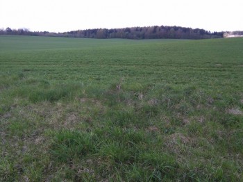 А что у нас с погодой? -6 - IMG_20170511_123617.jpg