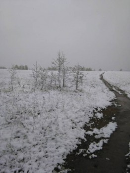 А что у нас с погодой? -6 - IMG_20170511_075214.jpg