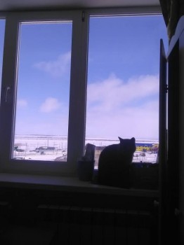 А что у нас с погодой? -6 - IMG_20170516_120638.jpg