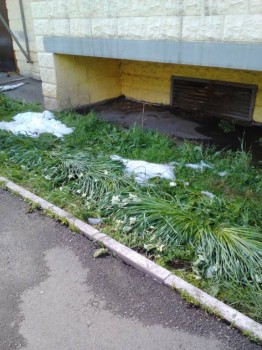 А что у нас с погодой? -6 - Lenovo_A1000_IMG_20170518_154844.jpg