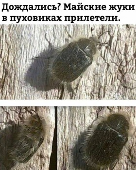 А что у нас с погодой? -6 - gtl2YN3qZT8.jpg