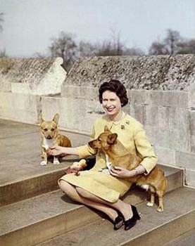 АВАТАРКИ банк аватарок и картинок для них  - 264820.jpg