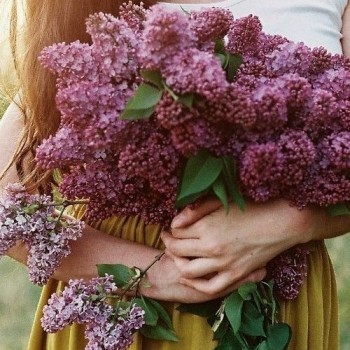 АВАТАРКИ банк аватарок и картинок для них  - V6bjiULEv2k.jpg