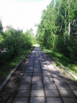 А что у нас с погодой? -6 - IMG_20170606_082055.jpg