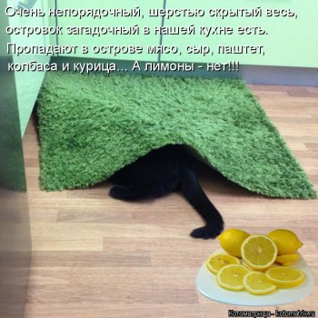 Любимая кошатинка  - kotomatritsa_8b.jpg