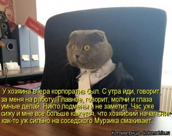 Любимая кошатинка  - kotomatritsa_A.jpg