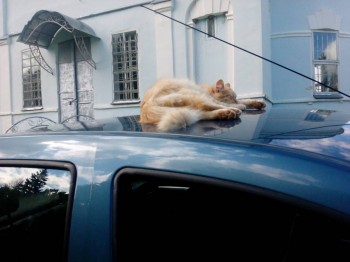 Вот он, этот коварный субъект лохматой наружности, мастер пантомимы. Сюжет "Кто заказывал такси на Дубровку?"